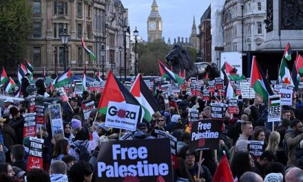 Las tareas de los comunistas en el movimiento de solidaridad con Palestina